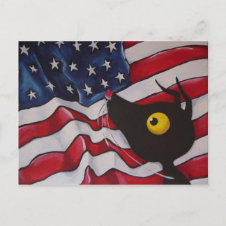 Stressie Cat in de VS! Briefkaart