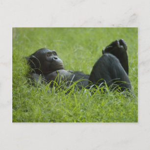 Stressverlichting Briefkaart