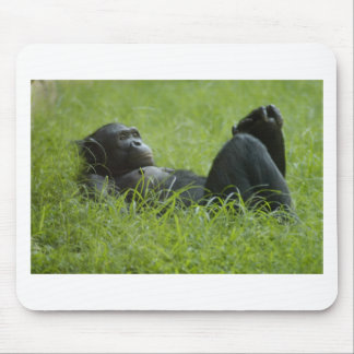 Stressverlichting Muismat