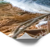 Stretch poster (Hoek)