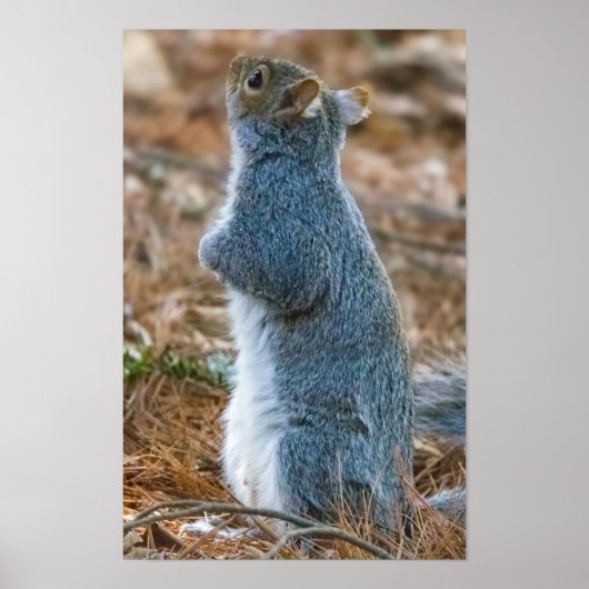 Stretch poster (Voorkant)