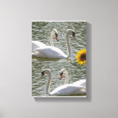 Stretched Canvas Moederdag Swan Zonnebloem (Voorkant)