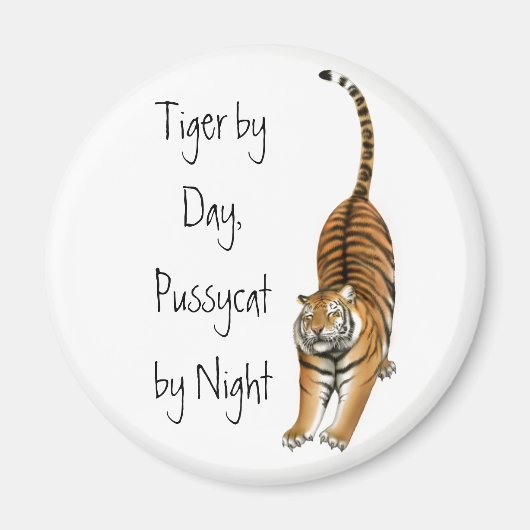 Stretching Bengal Tijger Magnet Magneet (Voorkant)