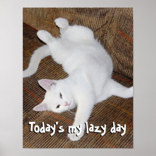 Stretching Cat - Poster