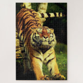 Stretching Tiger Legpuzzel (Verticaal)