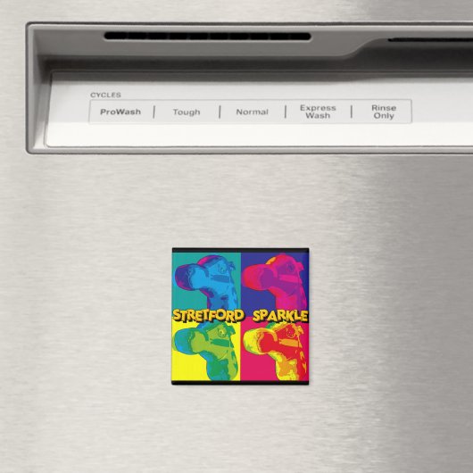 STRETFORD - FRIDGE MAGNET (In Situ (Lave-vaisselle))