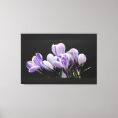 Stretted Wall Canvas (Voorkant)