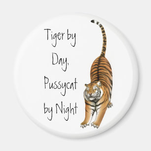Stretting Bengal Tiger Magnet Magneet