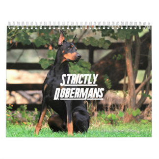 Strictly Dobermans Calendar 2026 Kalender