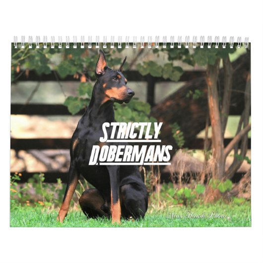 Strictly Dobermans Calendar 2026 Kalender (Hoes)