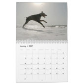 Strictly Dobermans Kalender 2026 (Jan 2027)