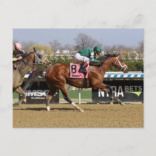 Stride voor Stride Briefkaart (Voorkant)