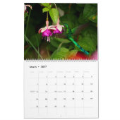 Strijdvogels in Colombia Kalender (Mar 2027)