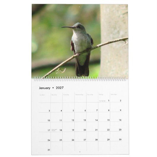 Strijdvogels in Colombia Kalender (Jan 2027)