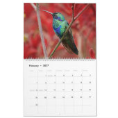 Strijdvogels in Colombia Kalender (Feb 2027)