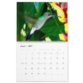 Strijdvogels in Colombia Kalender (Mar 2027)