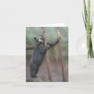 Strike a Pose - Bubu Notecard Kaart