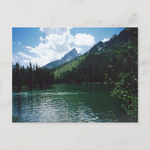 String Lake- Yellowstone Briefkaart