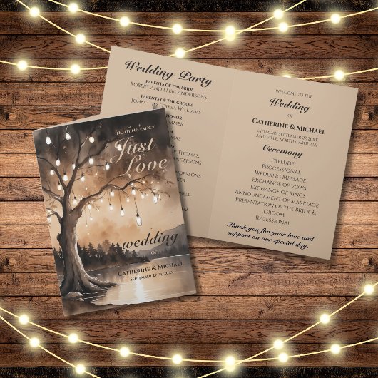String Lights op Tree Romantic Country Wedding Programma