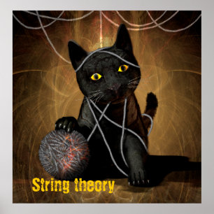 String-theorie-kat Poster