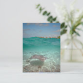 Stringray onderwater Bora Bora Briefkaart (Staand voorkant)