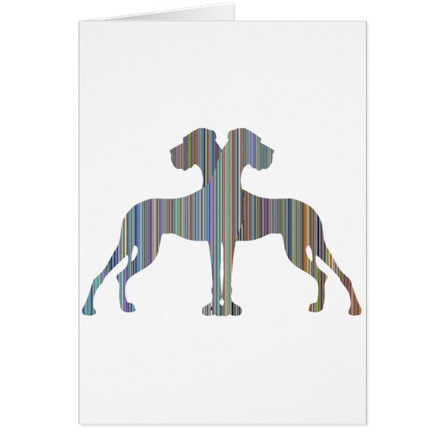 Stripe Daanhaar (Voorkant)