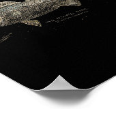 Striped B Fishing  Poster (Hoek)