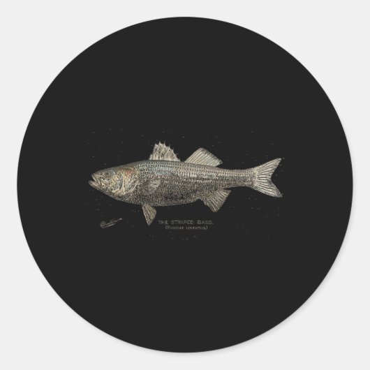 Striped B Fishing  Ronde Sticker (Voorkant)