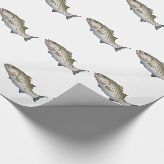 STRIPED BASS CADEAUPAPIER (Hoek)
