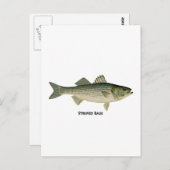 Striped Bass Logo Briefkaart (Voorkant / Achterkant)
