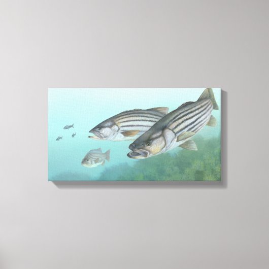 Striped Bass Painting Canvas Afdruk (Voorkant)