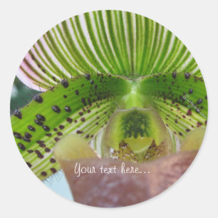 Striped Green Slipper Orchid Envelope Seal Ronde Sticker