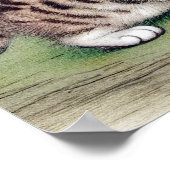  Striped Kitten Illustratie Poster (Hoek)
