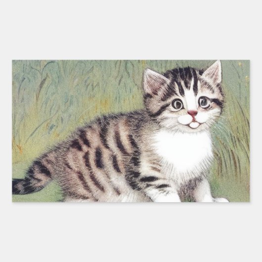  Striped Kitten Illustratie Rechthoekige Sticker (Voorkant)