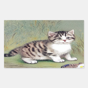  Striped Kitten Illustratie Rechthoekige Sticker