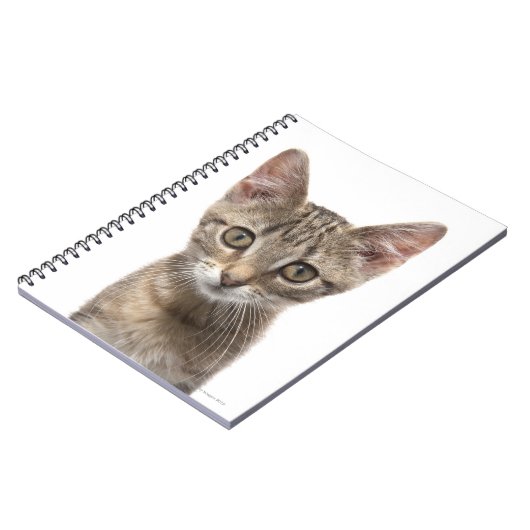 Striped Kitten Notitieboek (Linkerzijde)