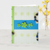 Striped Shamrock Pattern Card Kaart (Gele Bloem)