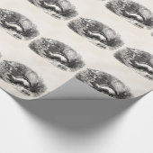  Striped Skunk 1800s Skunks Illustration Cadeaupapier (Hoek)