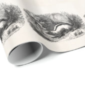  Striped Skunk 1800s Skunks Illustration Cadeaupapier (Rol Hoek)