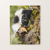 Striped Skunk Fern Log Legpuzzel (Verticaal)