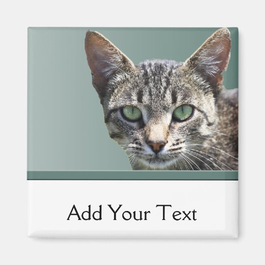 Striped Tabby met groene ogen Magneet (Voorkant)