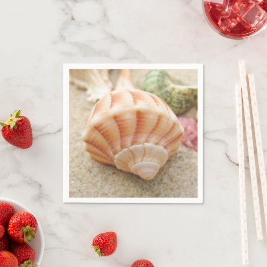 Striped Zee Shell Lightning Welk Servet (Insitu)