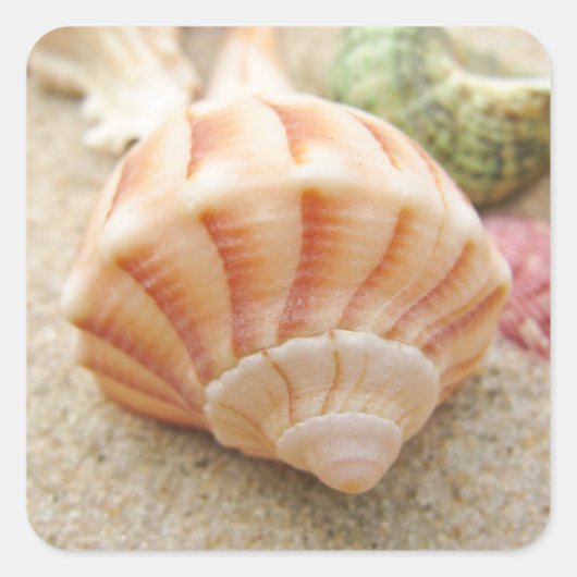 Striped Zee Shell Lightning Welk Vierkante Sticker (Voorkant)