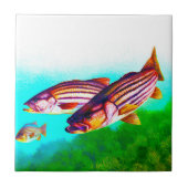 Striper van de stripper tegeltje (Voorkant)