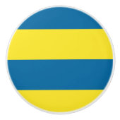 Stripes | Blauw & Geel |  Keramische Knop (Voorkant)