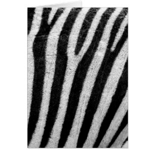 Stripes de cheveux Zèbre noir et blanc