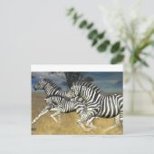 Stripes de course - Carte postale Zebra (Debout devant)
