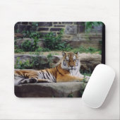 Stripes Muismat (Met muis)