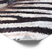 Stripes Zebra Baby and Mom poster toutes tailles (Coin)