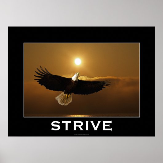 STRIVE ~ Flying Bald Eagle Motivatie Poster (Voorkant)